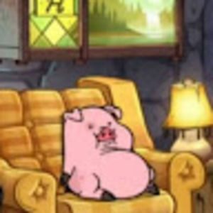 Meet your Posher, Alexis